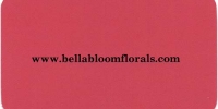 Bella Bloom Florals 2